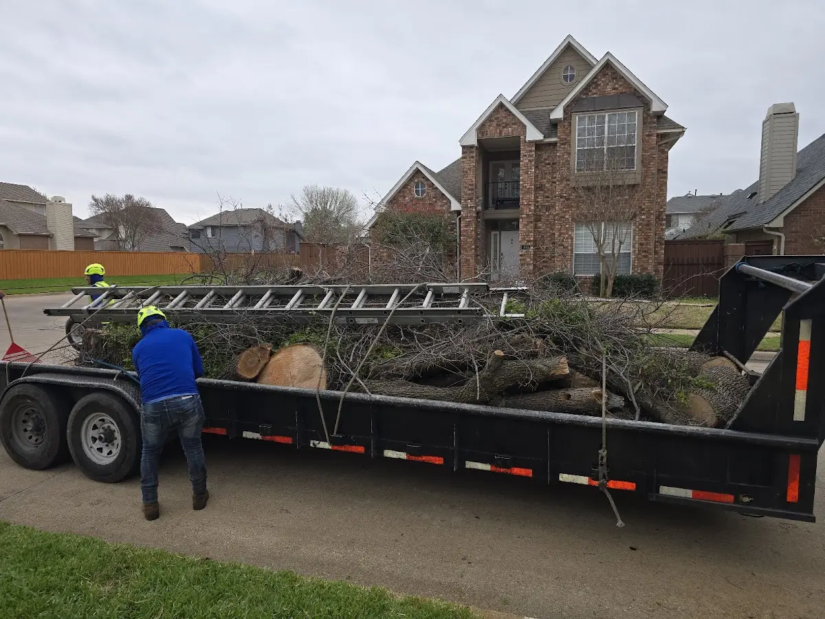 Expert Tree Fertilization with proper safety equipment in Bucyrus